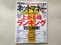 ネットマネー（201307）に登場しました