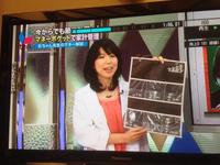 読売テレビ「かんさい情報ネットten！」にて彩ちゃん先生春のマネー講座に登場しました