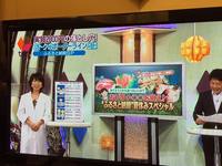 7/29かんさい情報ネットten．に出演しました